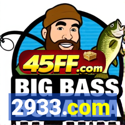 2933.com