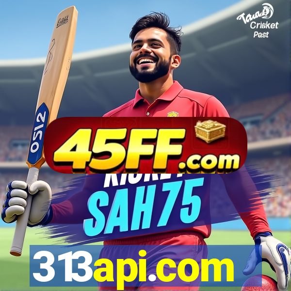313api.com