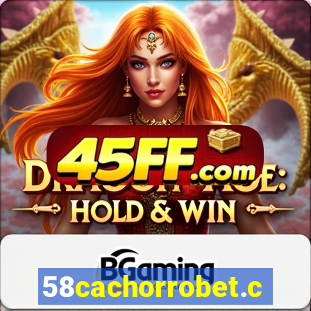 58cachorrobet.com