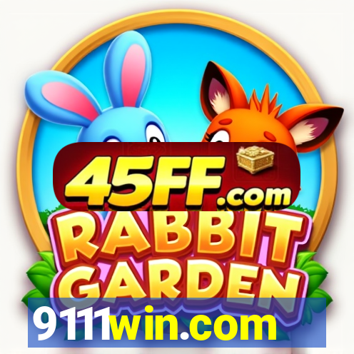 9111win.com