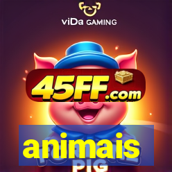 animais-pg.com