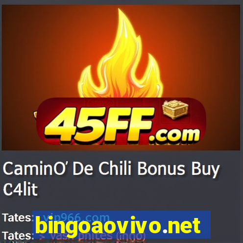 bingoaovivo.net