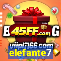elefante7