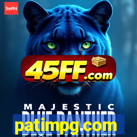patimpg.com