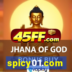 spicy01.com