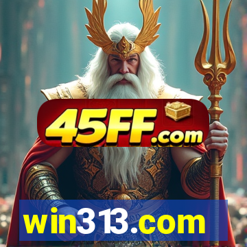 win313.com