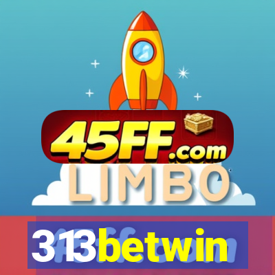 313betwin