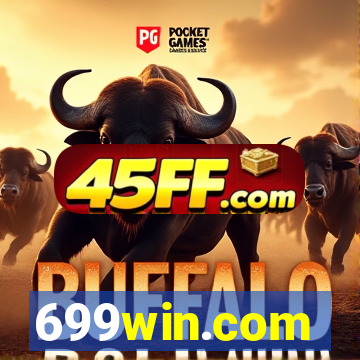 699win.com