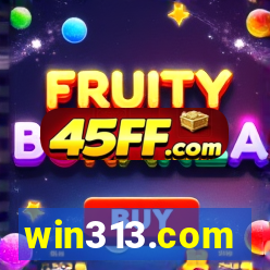 win313.com